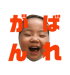我が家の社長と副社長（個別スタンプ：5）