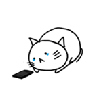 悲しいネコ（個別スタンプ：5）