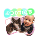 ちょこきと（個別スタンプ：5）