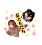 にこにこ幸せガール！れなぽん（個別スタンプ：5）