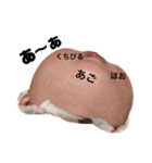 にこにこ幸せガール！れなぽん（個別スタンプ：38）