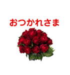 労りの言葉（個別スタンプ：1）