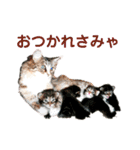 労りの言葉（個別スタンプ：2）