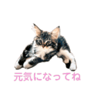 労りの言葉（個別スタンプ：3）