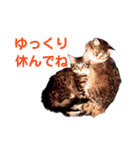 労りの言葉（個別スタンプ：4）