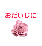 労りの言葉（個別スタンプ：5）