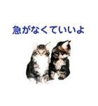 労りの言葉（個別スタンプ：9）