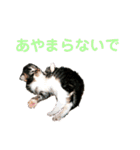 労りの言葉（個別スタンプ：10）