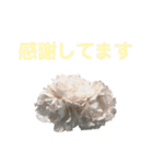 労りの言葉（個別スタンプ：12）