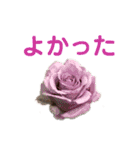 労りの言葉（個別スタンプ：14）