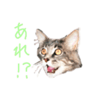 労りの言葉（個別スタンプ：18）