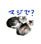労りの言葉（個別スタンプ：19）