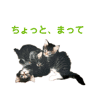 労りの言葉（個別スタンプ：20）