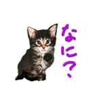 労りの言葉（個別スタンプ：21）
