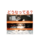 労りの言葉（個別スタンプ：23）
