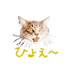 労りの言葉（個別スタンプ：24）