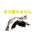 労りの言葉（個別スタンプ：25）