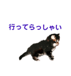 労りの言葉（個別スタンプ：26）