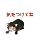 労りの言葉（個別スタンプ：30）