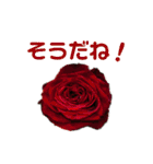労りの言葉（個別スタンプ：31）