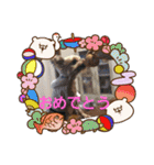 きみの家族たち（個別スタンプ：13）