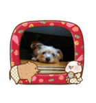 きみの家族たち（個別スタンプ：15）