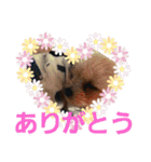 きみの家族たち（個別スタンプ：17）