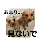 きみの家族たち（個別スタンプ：20）