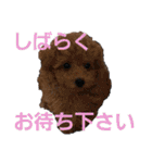 きみの家族たち（個別スタンプ：21）