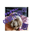 きみの家族たち（個別スタンプ：24）