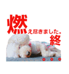 きみの家族たち（個別スタンプ：31）