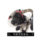 モモタロースタンプ（個別スタンプ：3）