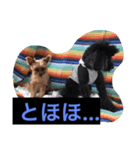 モモタロースタンプ（個別スタンプ：6）
