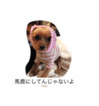 モモタロースタンプ（個別スタンプ：7）