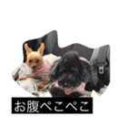 モモタロースタンプ（個別スタンプ：8）