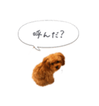 わんこの挨拶（個別スタンプ：7）
