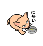 なっとういろのネコの日常スタンプ（個別スタンプ：23）