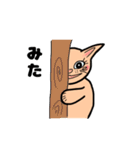なっとういろのネコの日常スタンプ（個別スタンプ：34）