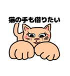 なっとういろのネコの日常スタンプ（個別スタンプ：38）