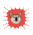 柴犬でーるくん2（個別スタンプ：14）