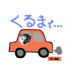 柴犬でーるくん2（個別スタンプ：16）