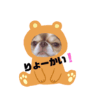 Rico‬ ‪︎❤︎‪︎1（個別スタンプ：1）