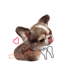 Rico‬ ‪︎❤︎‪︎1（個別スタンプ：3）