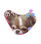 Rico‬ ‪︎❤︎‪︎1（個別スタンプ：4）