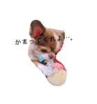 Rico‬ ‪︎❤︎‪︎1（個別スタンプ：5）