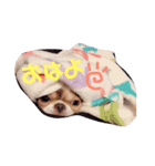 Rico‬ ‪︎❤︎‪︎1（個別スタンプ：6）