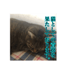 ここあとももよのスタンプ（個別スタンプ：7）