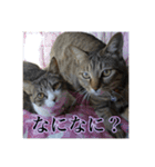 ここあとももよのスタンプ（個別スタンプ：21）