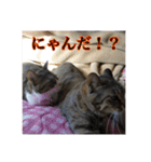 ここあとももよのスタンプ（個別スタンプ：24）