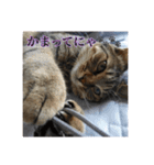 ここあとももよのスタンプ（個別スタンプ：28）
